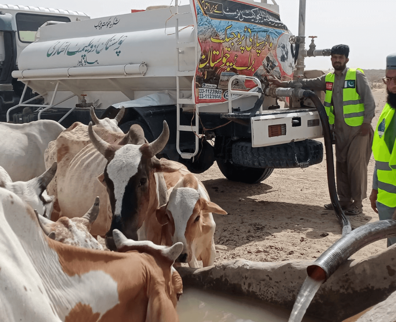 disaster management water crisis flood affectees help out by ghais welfare and educational trust (7)